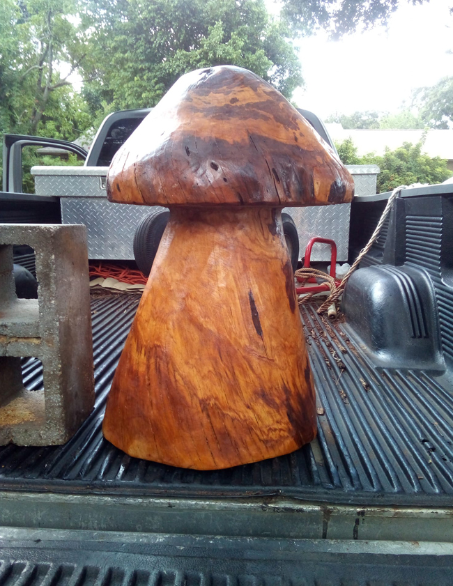 Giant Mushroom Carving