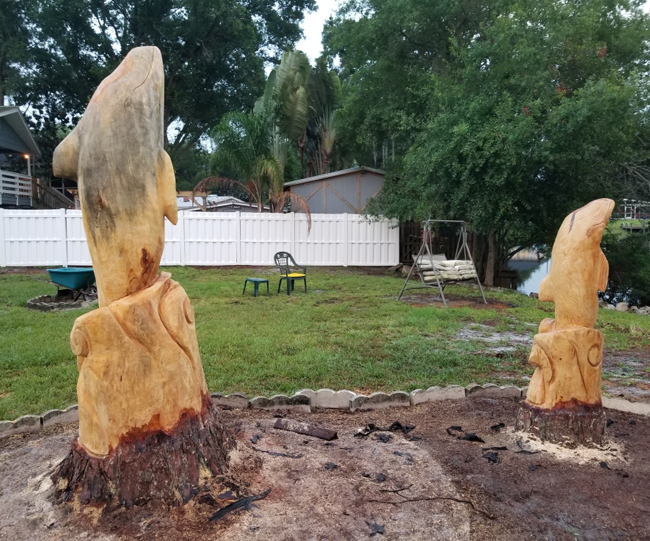 Chainsaw Carved Dolphines from Pine Trees