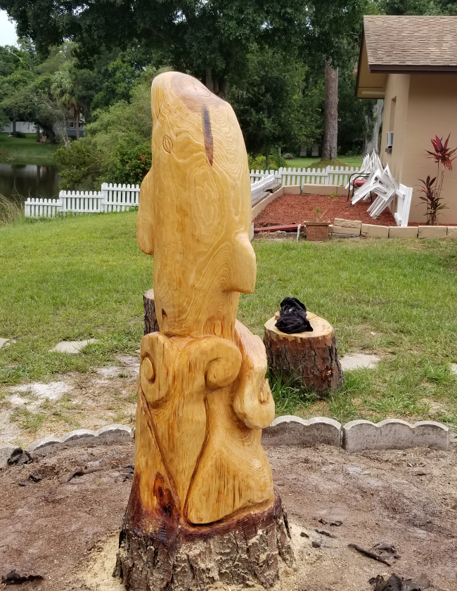 Baby Dolphin Carving from Pine Tree in Florida